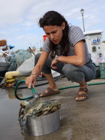 Washing Blue Crabs in Kopraina